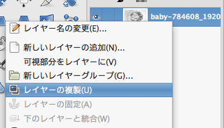 レイヤーを右クリック-「レイヤーの複製」を選択します。